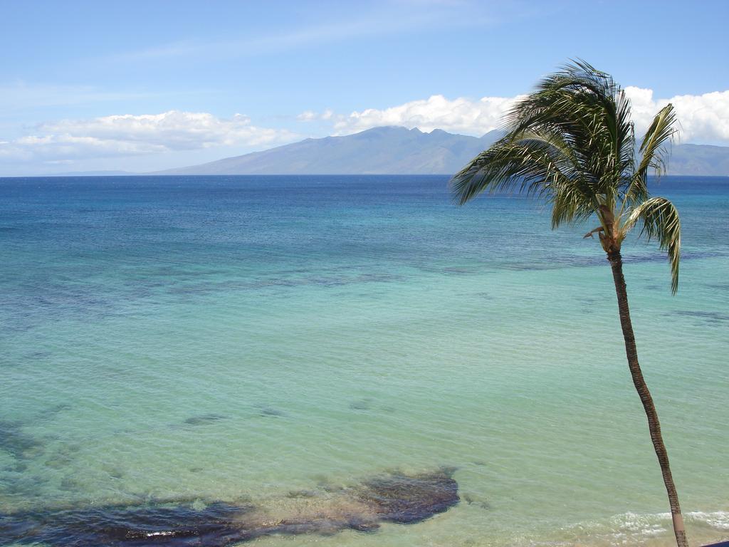 Kaleialoha Condominiums Lahaina Ngoại thất bức ảnh